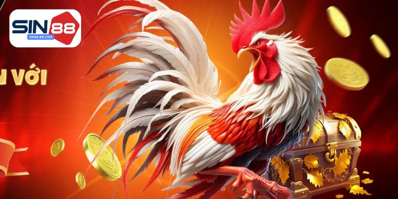 Giới thiệu về đà gá SIN88